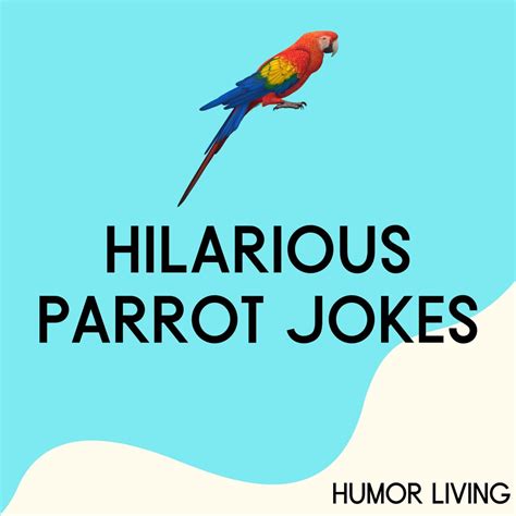 parrot humor.